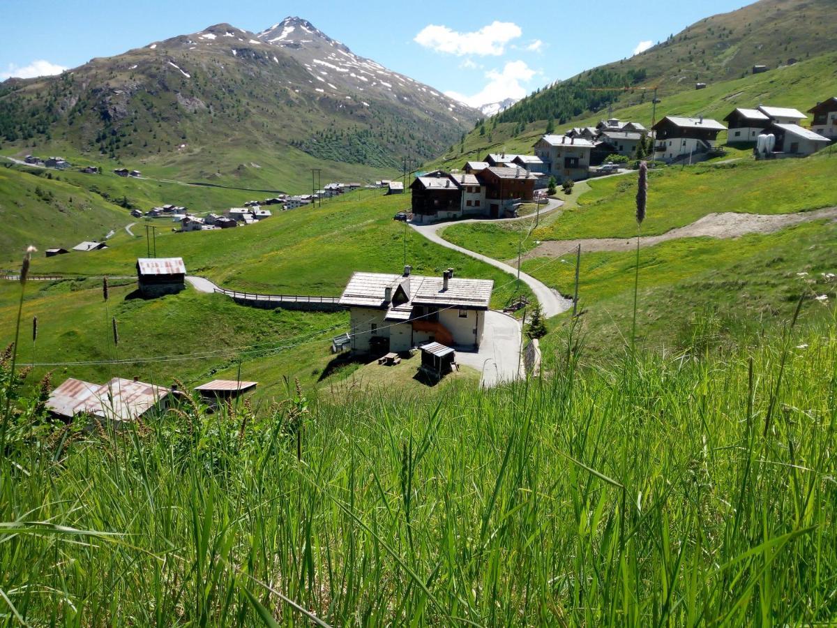 Casa Rainolter Apartment Livigno