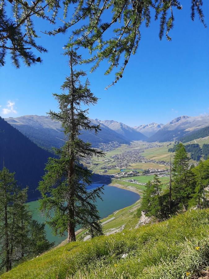 Casa Rainolter Appartement Livigno